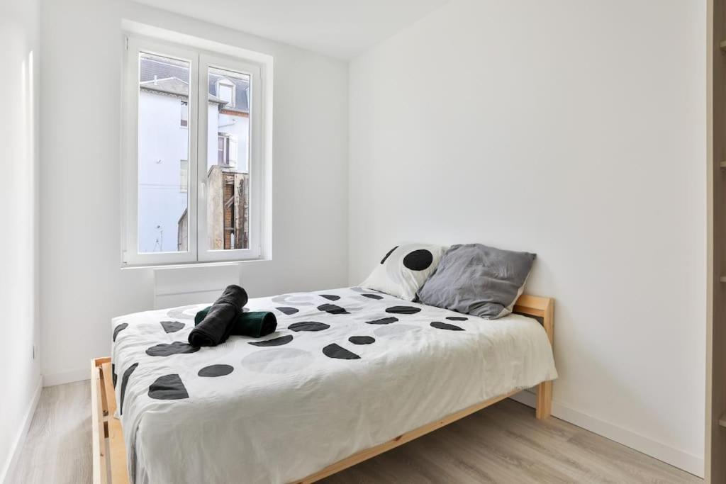 Suite Lumineux Et Moderne, Parking Gratuit, Mulhouse Centre Dış mekan fotoğraf