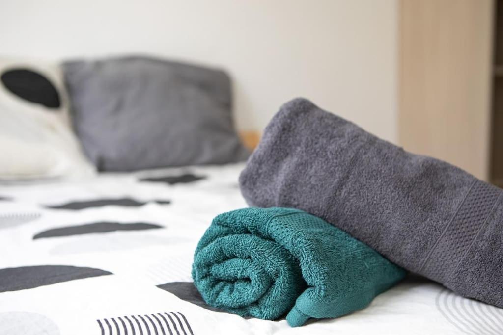 Suite Lumineux Et Moderne, Parking Gratuit, Mulhouse Centre Dış mekan fotoğraf